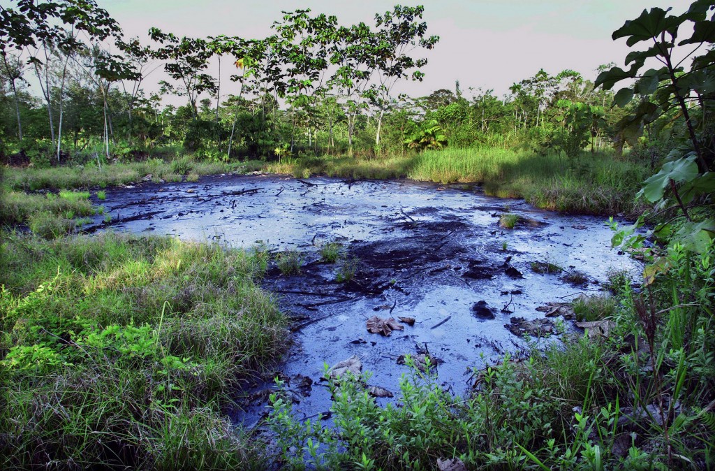 A waste pit filled with crude oil left by Texaco drilling operations years earlier lies in a jungle clearing near the Amazonian town of Sacha, Ecuador, October 21, 2003, on the day of the start of a landmark trial where Ecuadoran rainforest residents are seeking to force Chevron (formerly Texaco) to clean up the environmental contamination left behind from Texaco's operations.